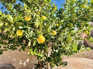 1701 E Yukon Dr., Phoenix, AZ 85024