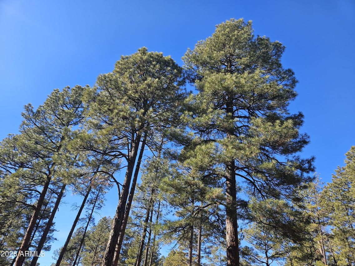 940 N 46th Dr., Show Low, AZ 85901