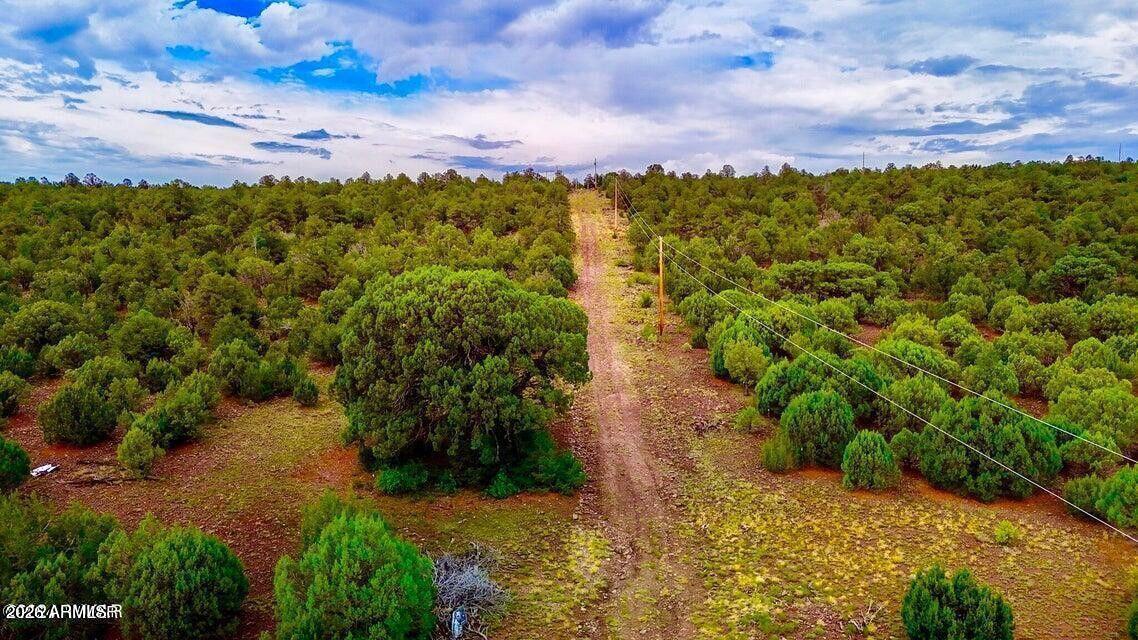 TBD Co Rd N3218 37 Acres #-, Vernon, AZ 85940