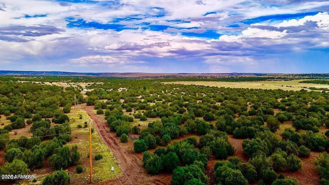 TBD Co Rd N3218 37 Acres #-, Vernon, AZ 85940
