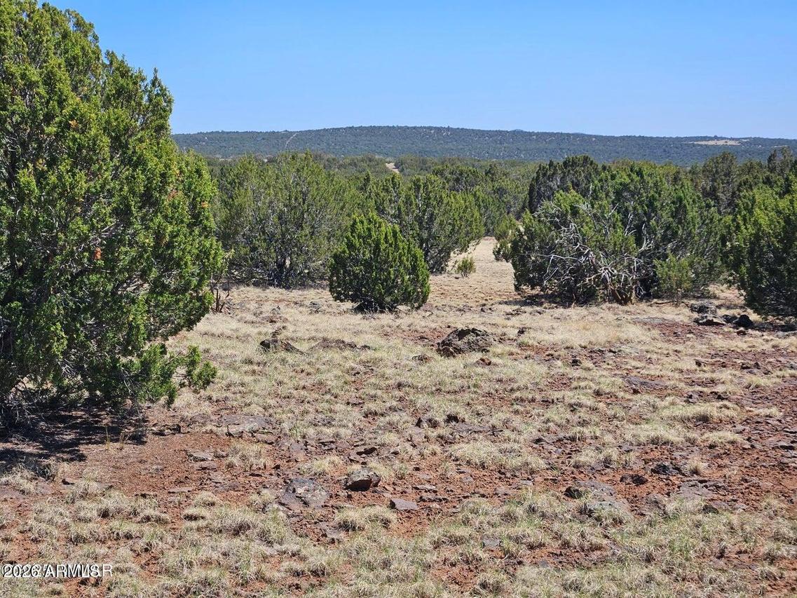 TBD Acr N8060 #86, Concho, AZ 85924