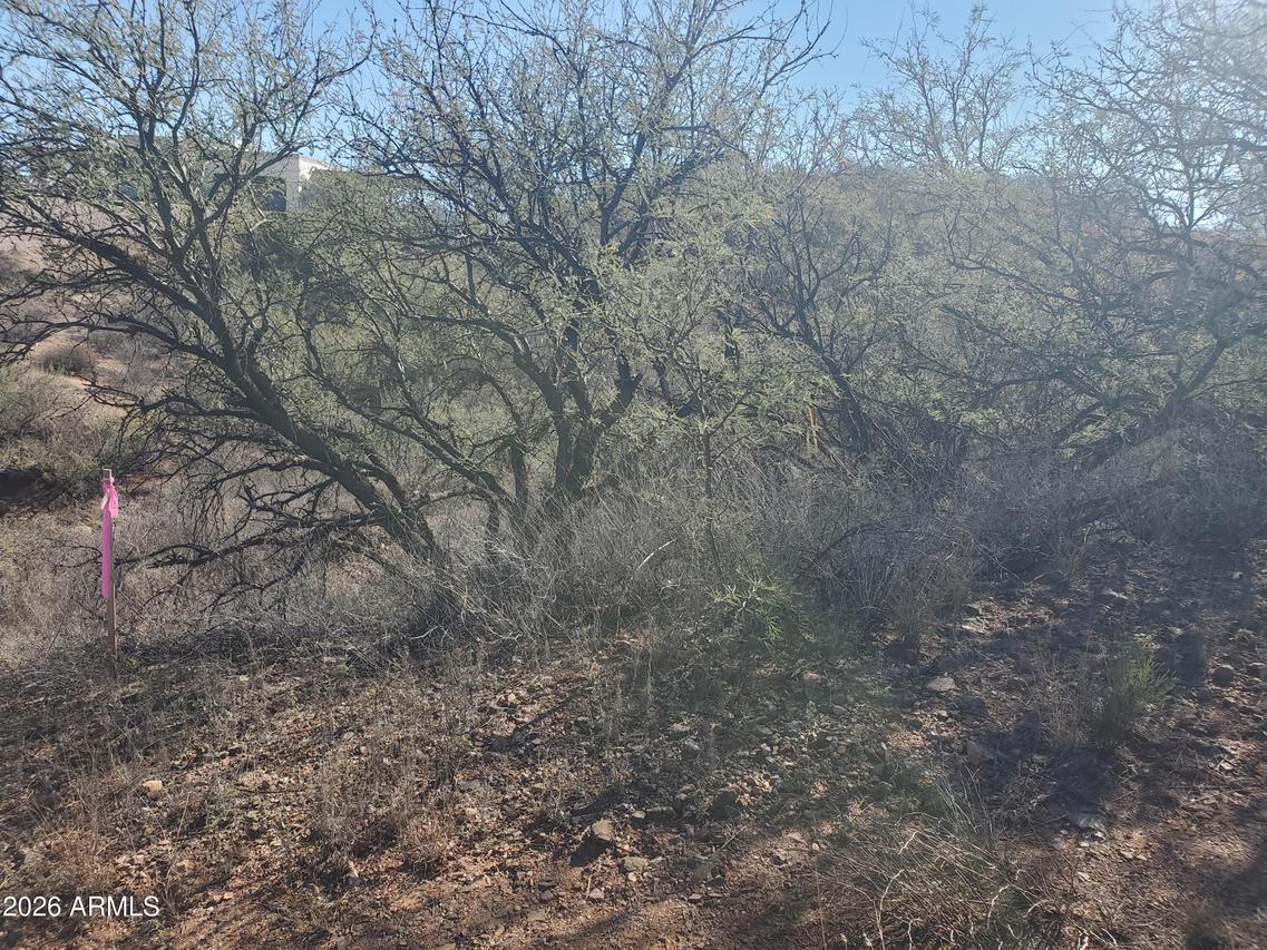 909 Paseo Los Mochis #40, Rio Rico, AZ 85648