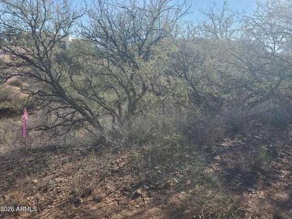 New Homes For Sale This Week in Rio Rico: January 9th to January 15th