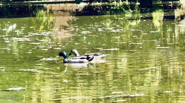 New Homes For Sale This Week That Attend Laveen Elementary School: January 9th to January 15th