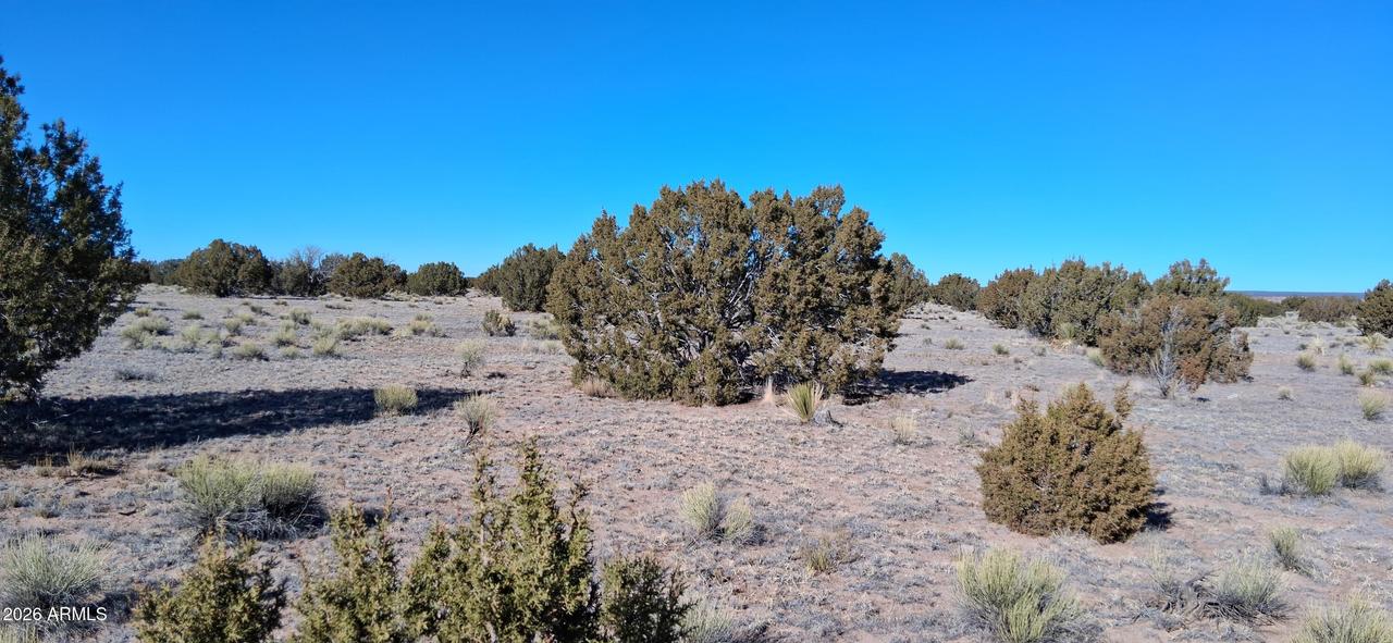 24 County Road N6578 #857, St Johns, AZ 85936