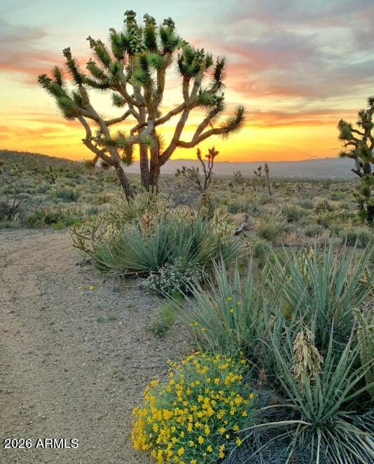 - Lake Mohave Ranchos Lot 357 #357, Dolan Springs, AZ 86441