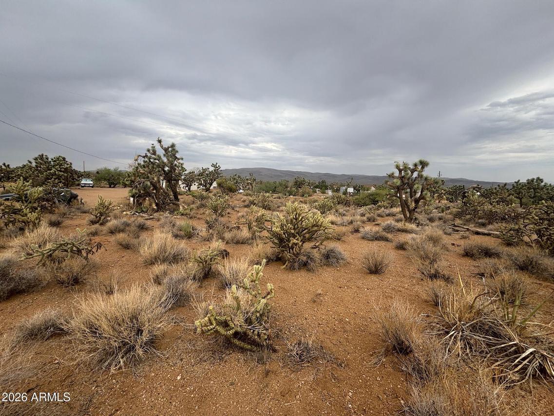 18290 N Smoke Dr. #220, Dolan Springs, AZ 86441
