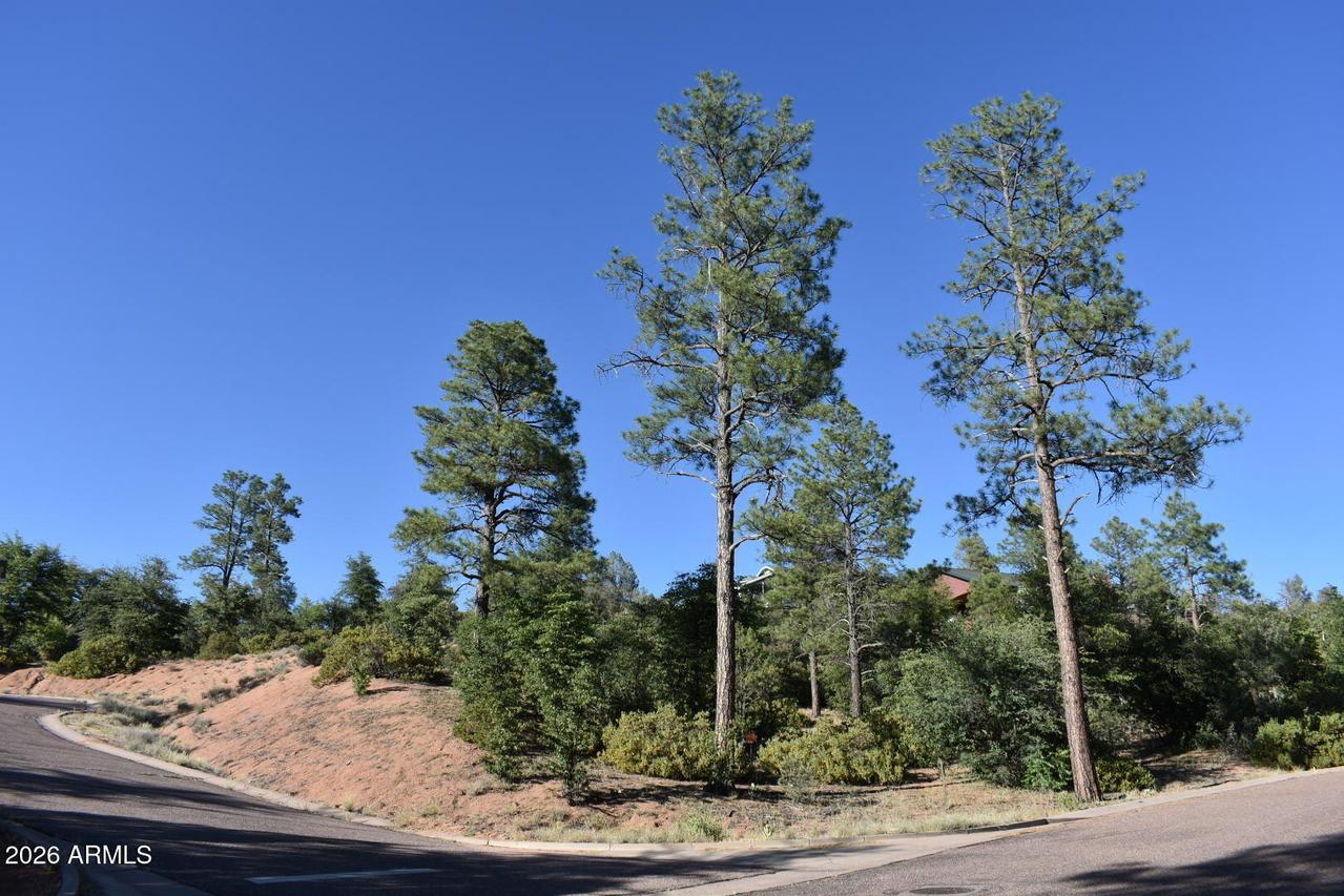 LOT 19 E Pine Ridge Dr. #19, Star Valley, AZ 85541