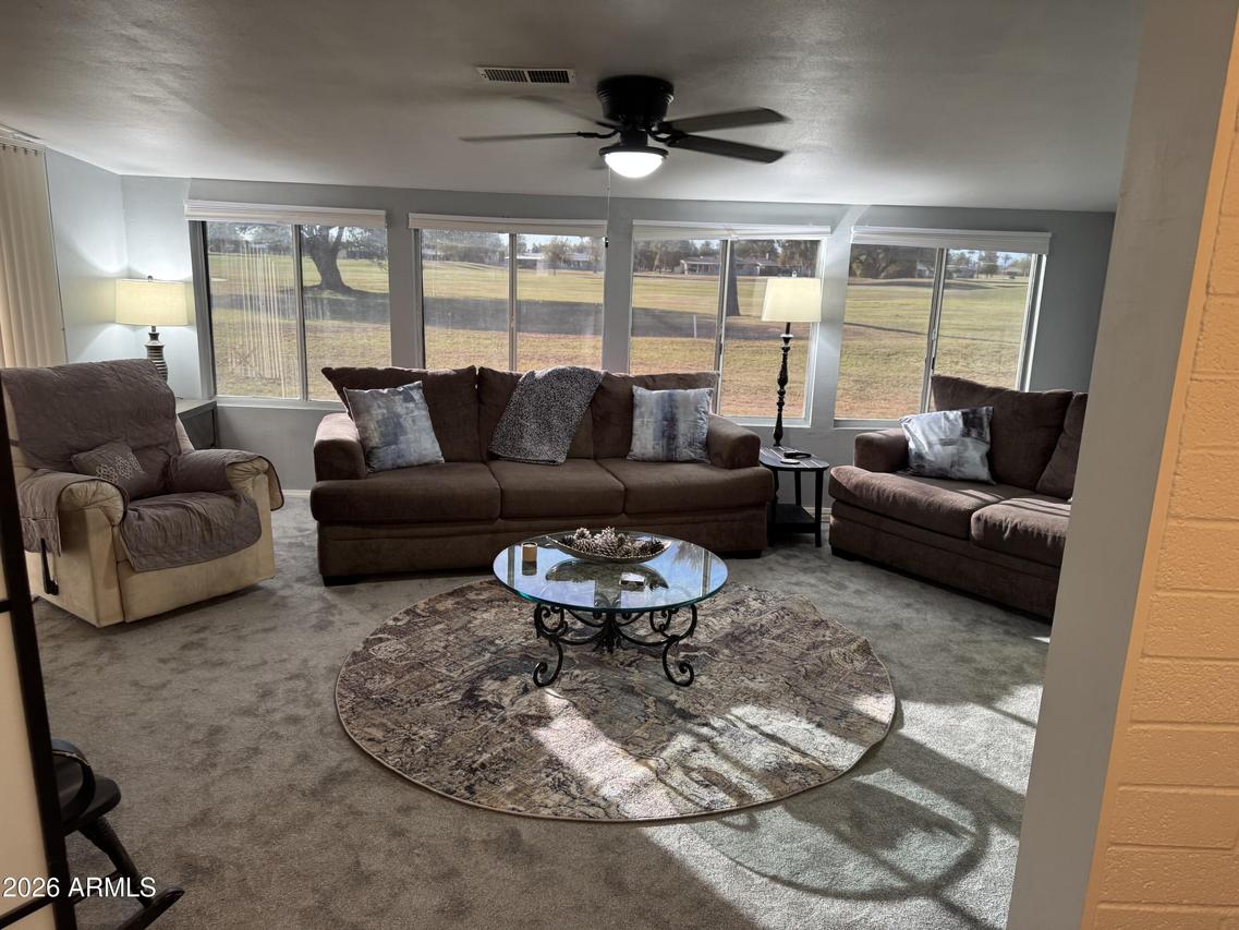 10022 W Lakeview Cir., Sun City, AZ 85351