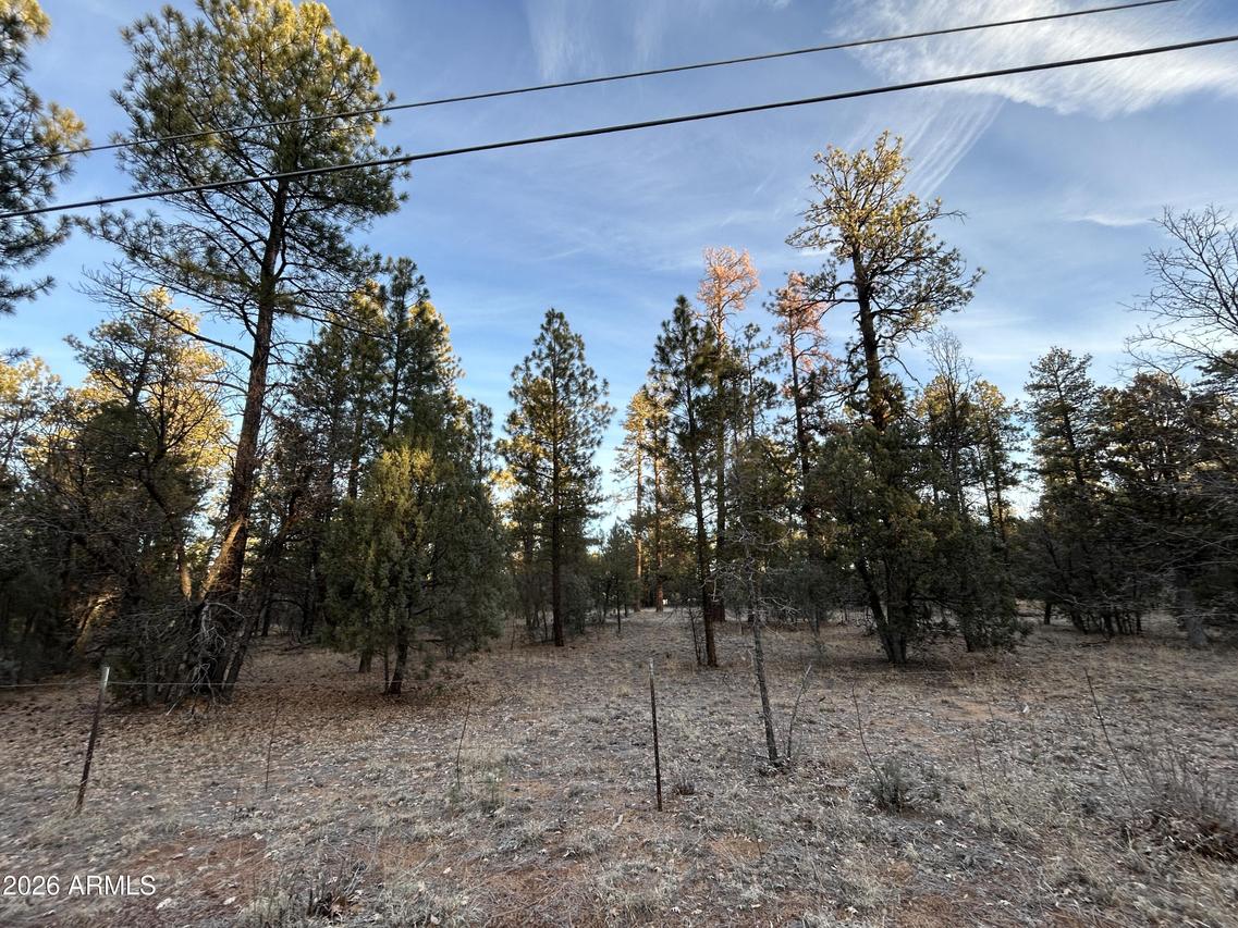 TBD Hilltop #031R, Lakeside, AZ 85929