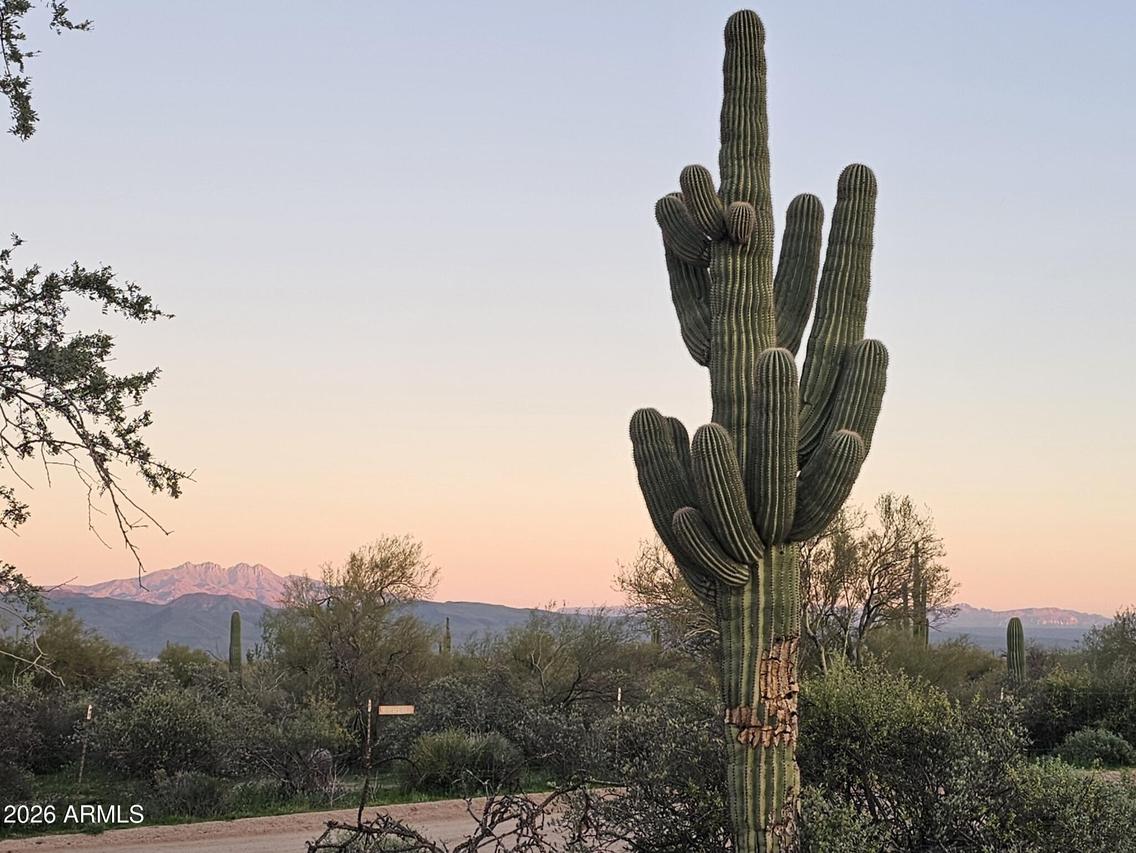 32XXX N 162nd St. #F, Scottsdale, AZ 85262