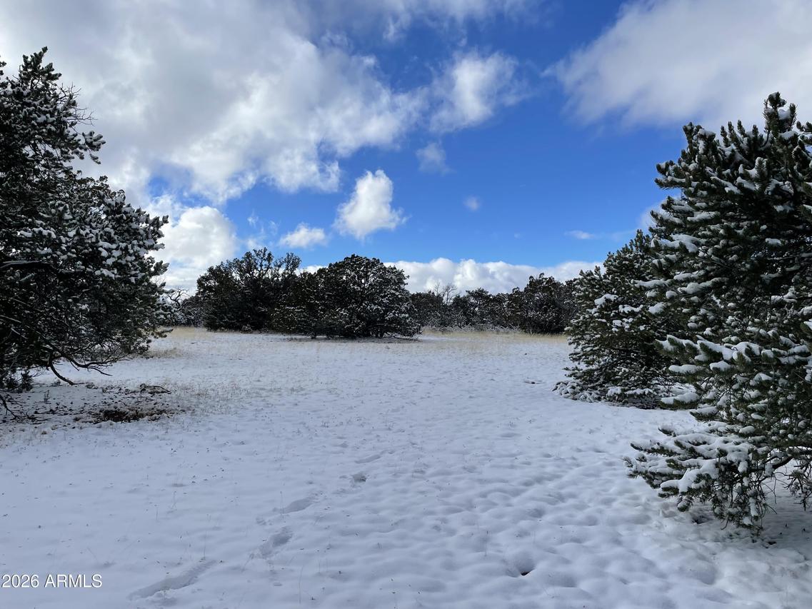 13537 Bly Station Rd. #414, Williams, AZ 86046