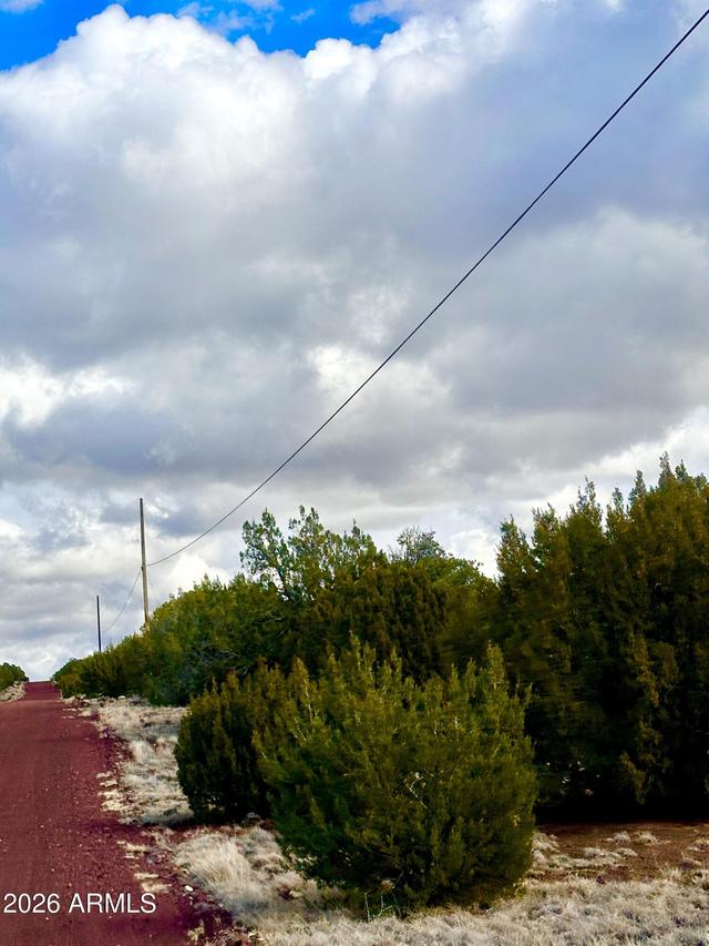 14 Acr 8242 #152, Concho, AZ 85924