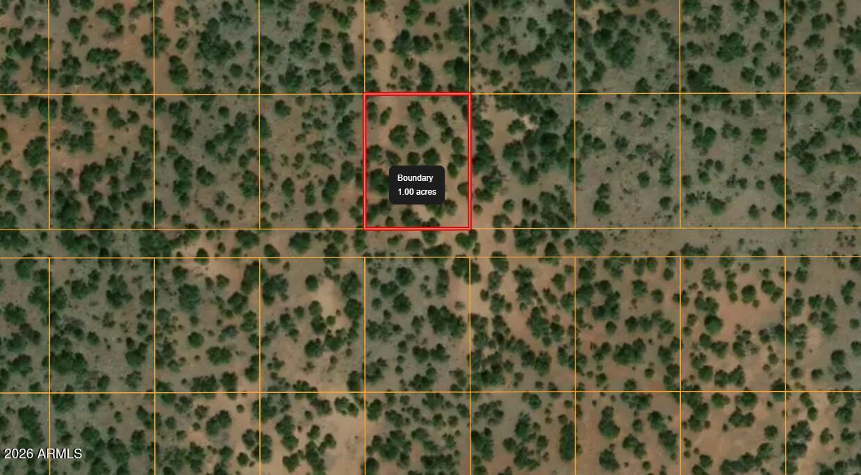 731 E Snowdrift Rd. #248, Williams, AZ 86046