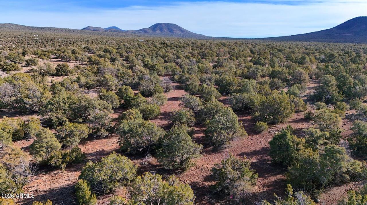 731 E Snowdrift Rd. #248, Williams, AZ 86046