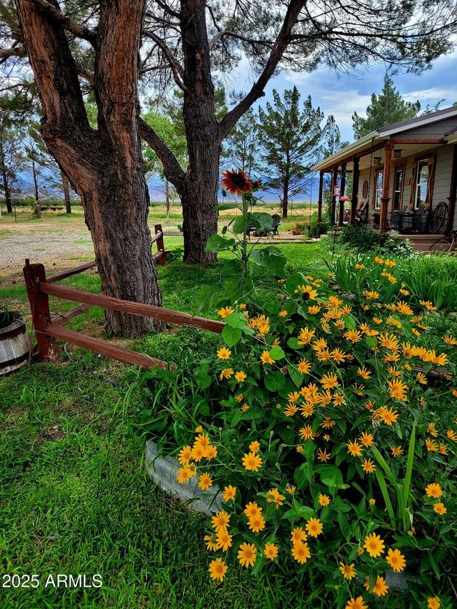 8255 N Fort Grant Rd., Willcox, AZ 85643