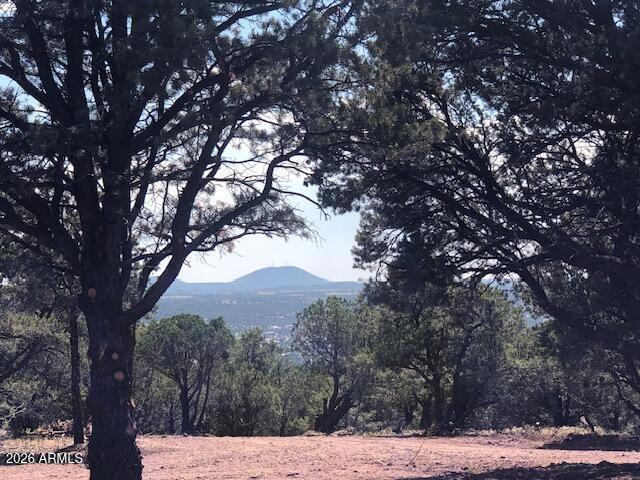 Lot 20 Mountain Pine Rd. #20, Vernon, AZ 85940