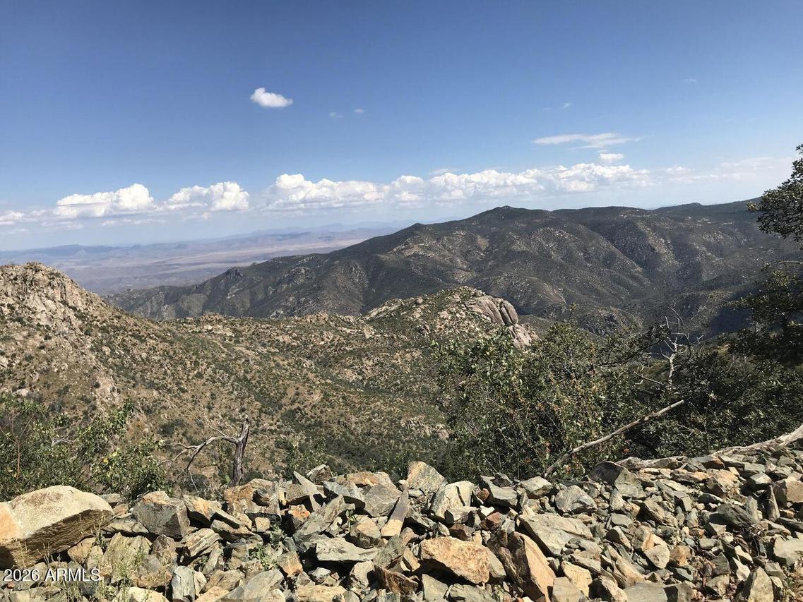 22431 S Gladiator Mine Rd. #-, Crown King, AZ 86343