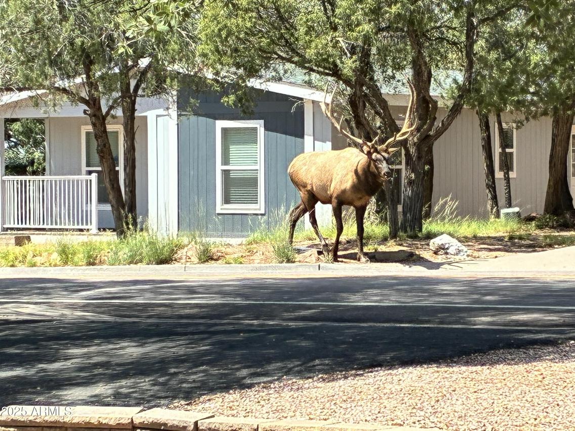 604 E Bonita St., Payson, AZ 85541