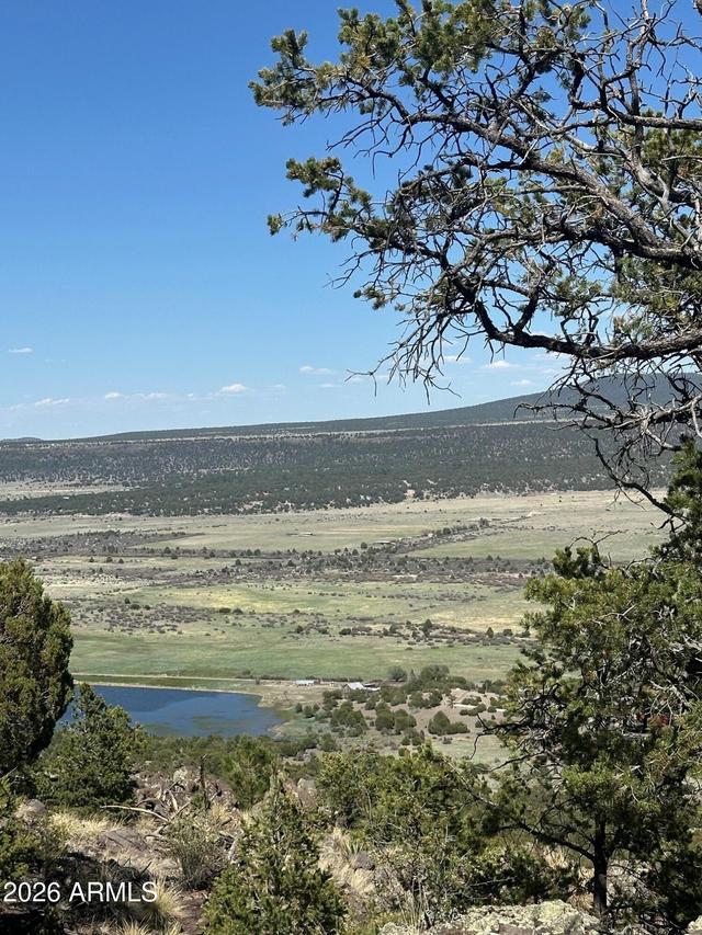 n2331 N N2331 #10268001, Nutrioso, AZ 85932