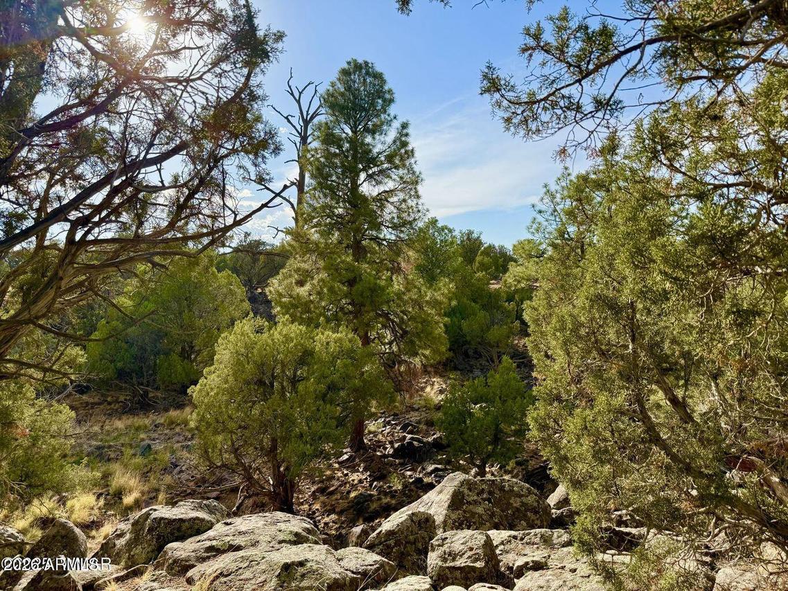 1838 Rocky Bottom Pl. #-, Show Low, AZ 85901