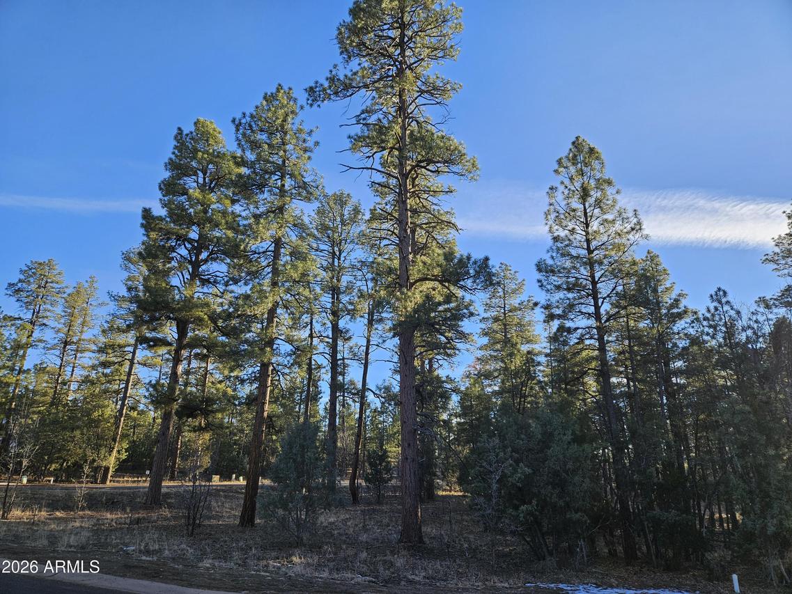 2500 S Pinegrass Rd., Show Low, AZ 85901