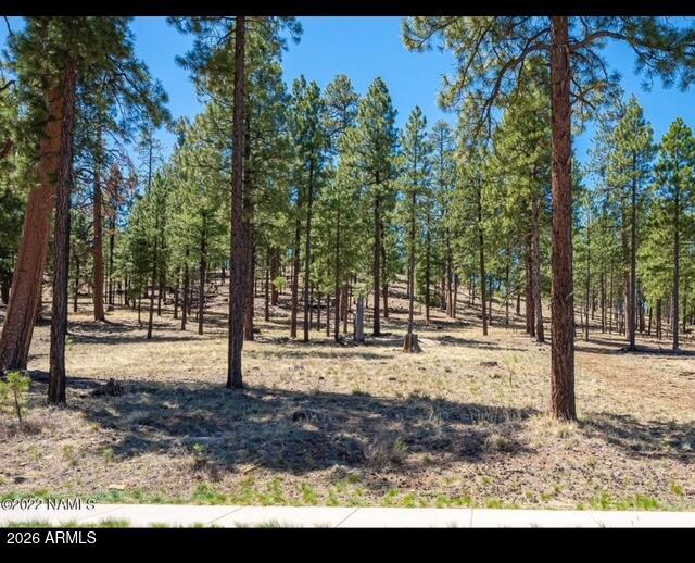 2057 N Cobblestone Cir. #11, Flagstaff, AZ 86001