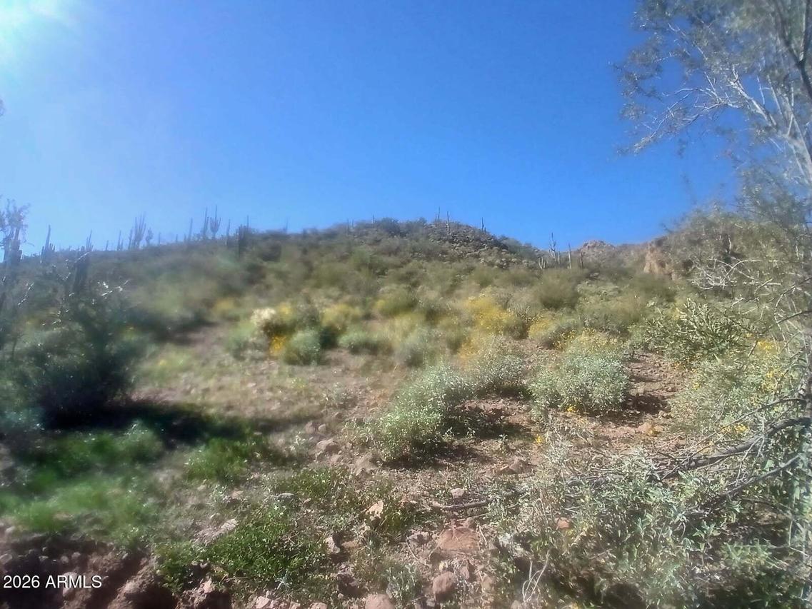 37750 S Cow Creek Rd. #53, Morristown, AZ 85342