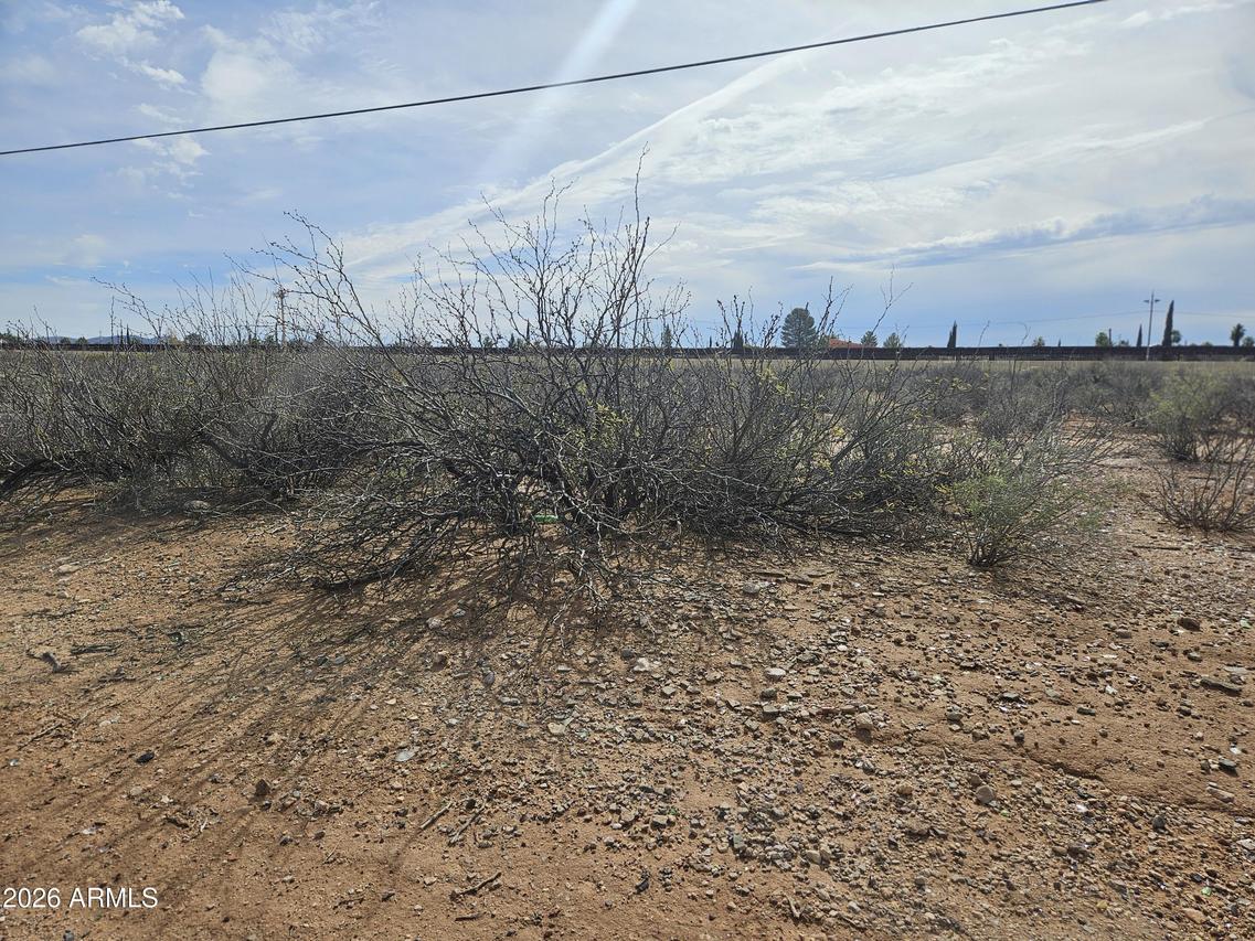 XXXX E 1st St. #6-14, Douglas, AZ 85607