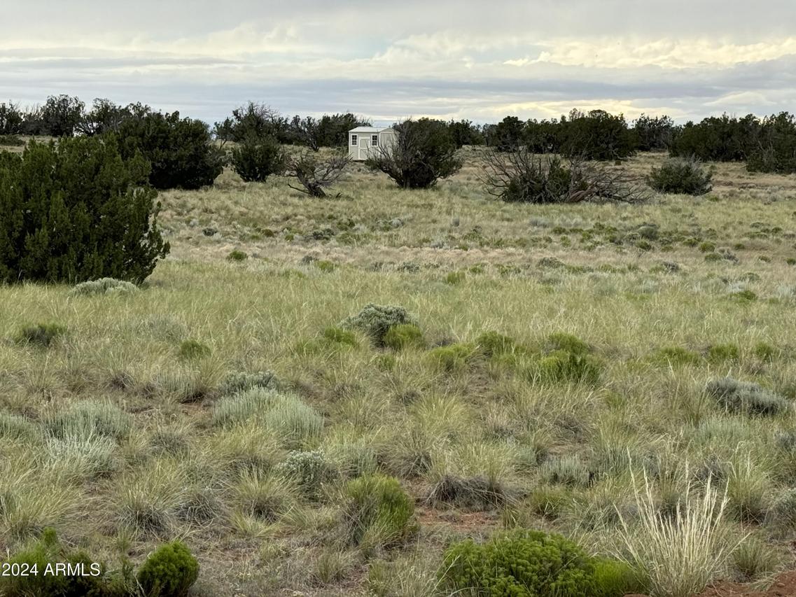 217 Sierra Highlands Ranch, St Johns, AZ 85936