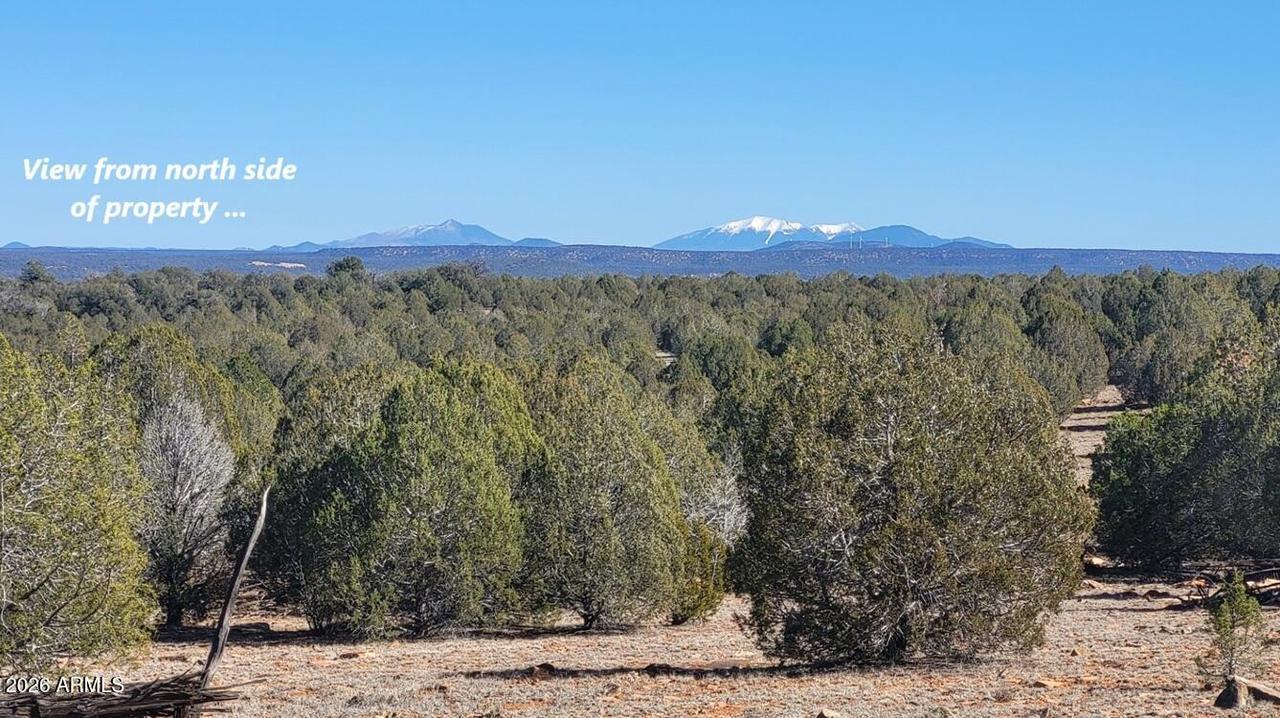 861 E2 Cable Rd. #861, Williams, AZ 86046