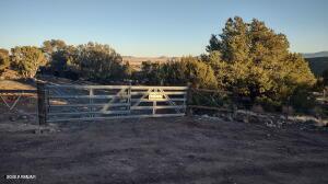 4 County Road 8127 #2369, Concho, AZ 85924