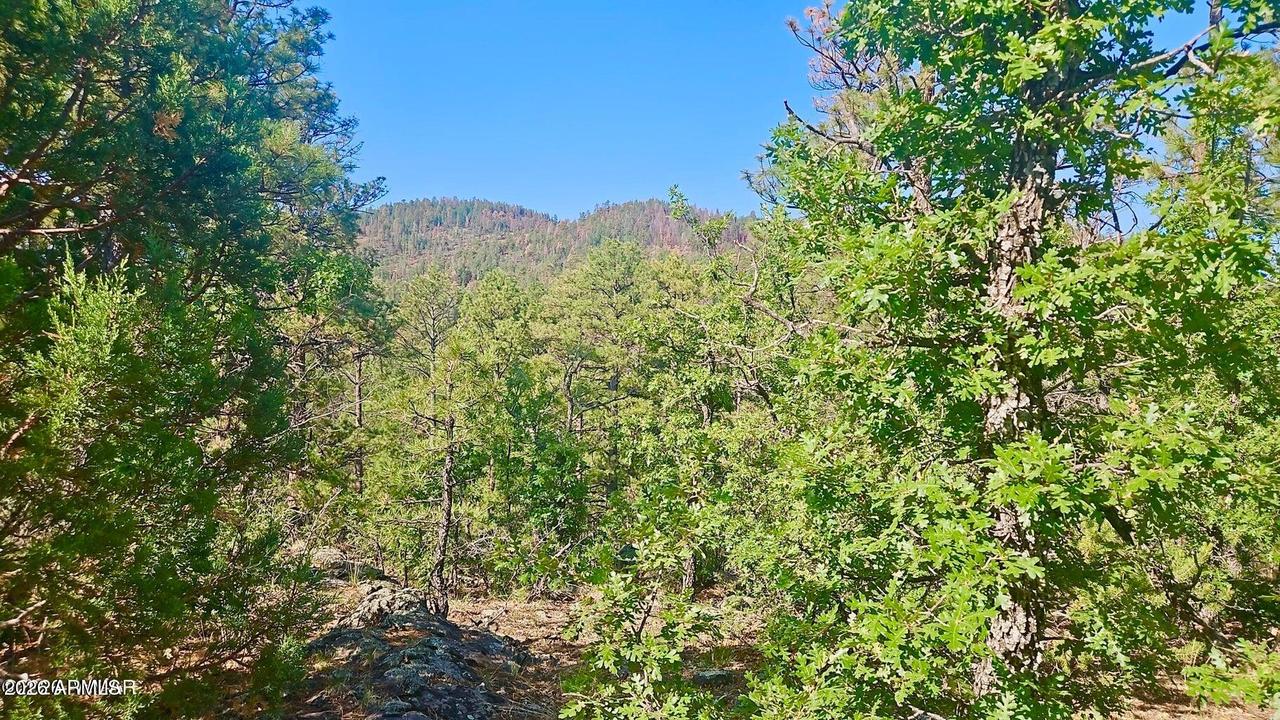 29 Co Rd 3199 #-, Vernon, AZ 85940