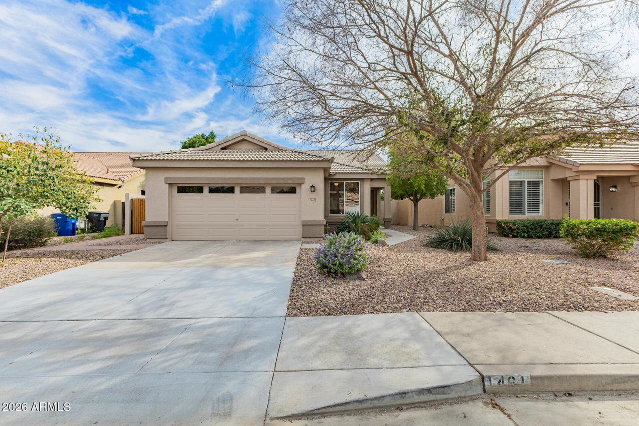 1461 W Armstrong Way, Chandler, AZ 85286
