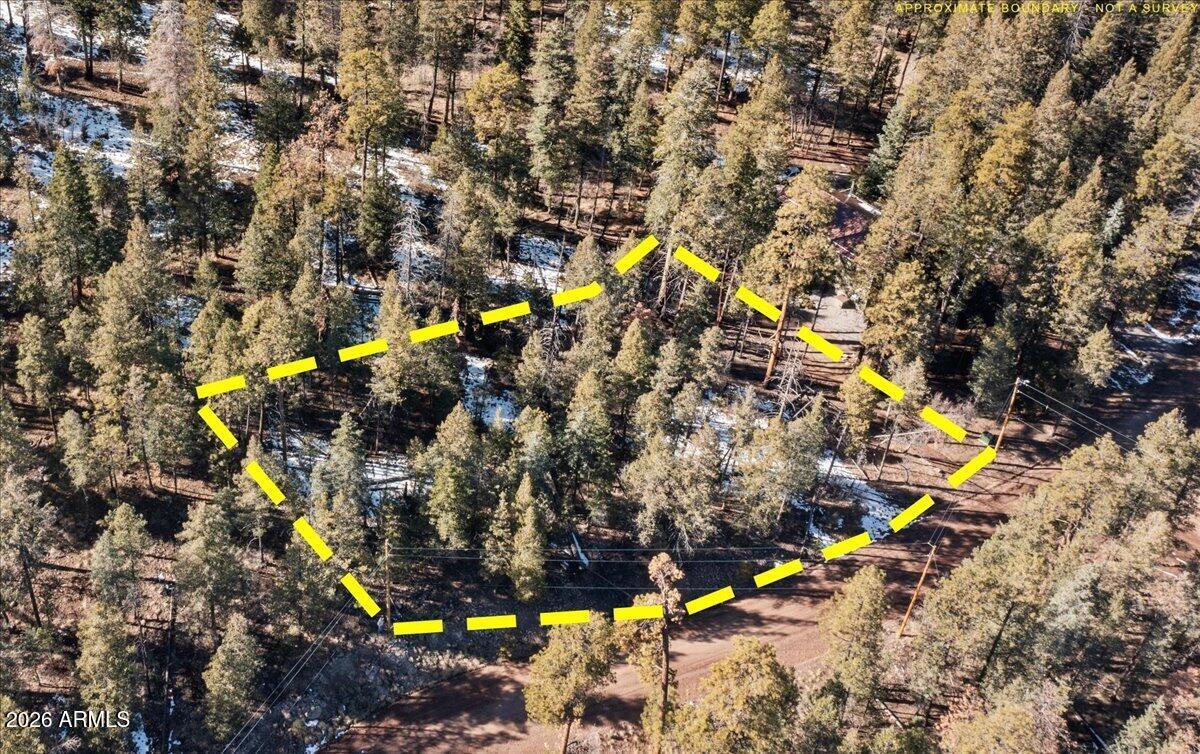 9 County Road 2073 #1, Alpine, AZ 85920