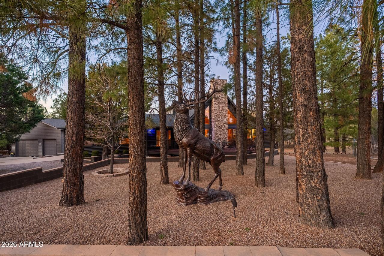 2214 Mountain Lion Ln., Overgaard, AZ 85933