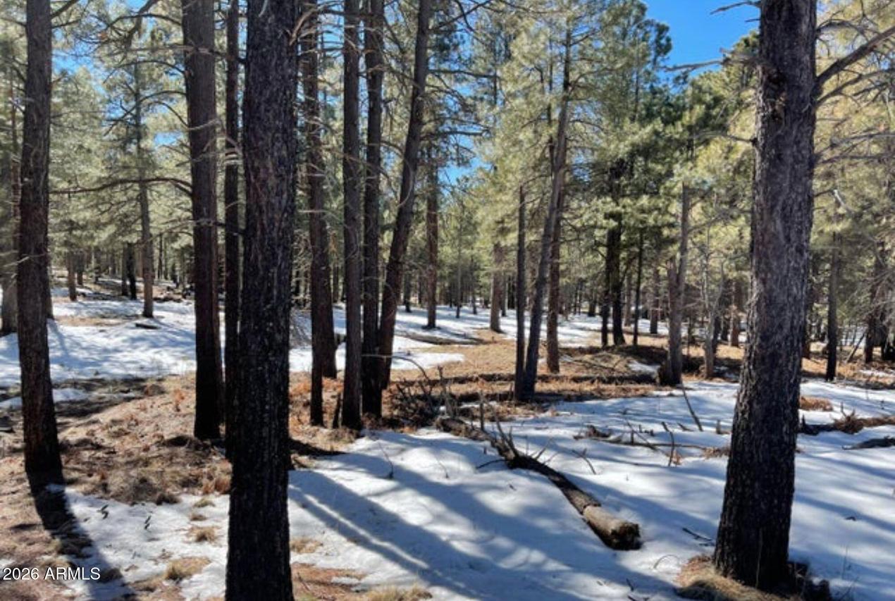 2692 State Route 260 Route #895, Forest Lakes, AZ 85931