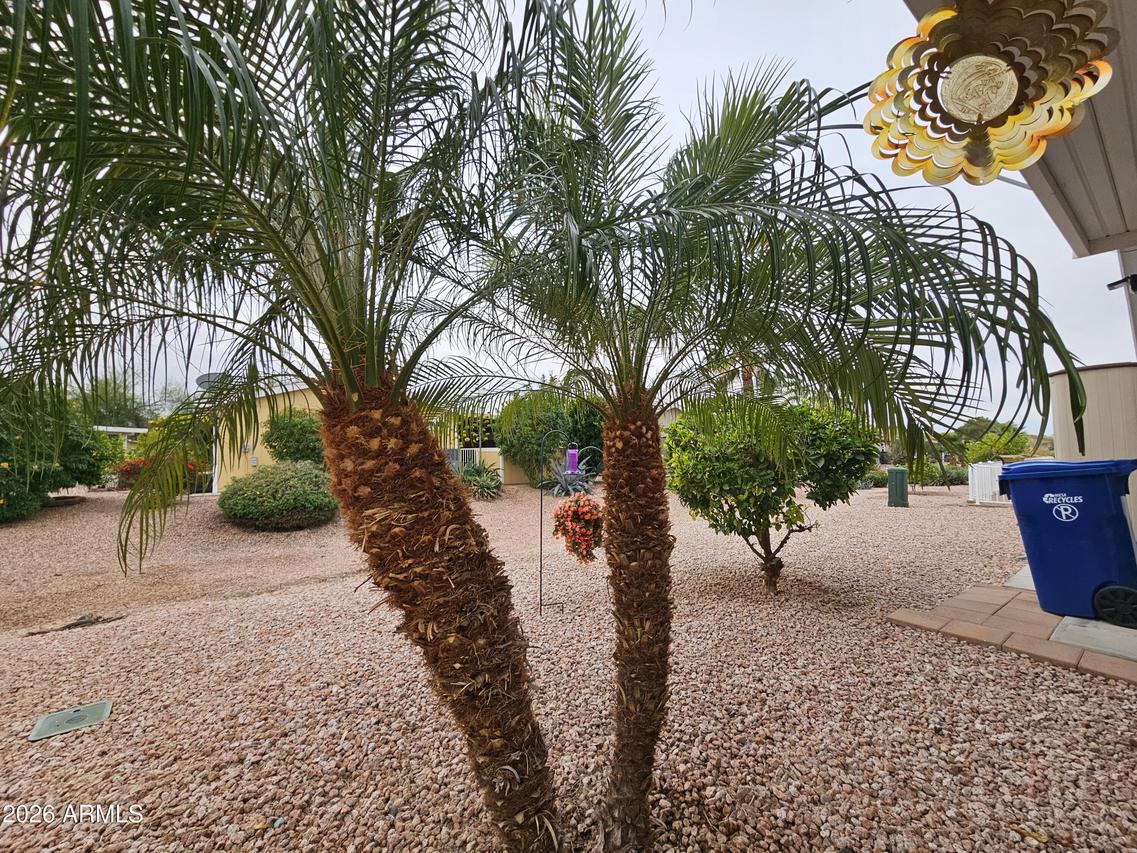 650 N Hawes Rd. #4411, Mesa, AZ 85207