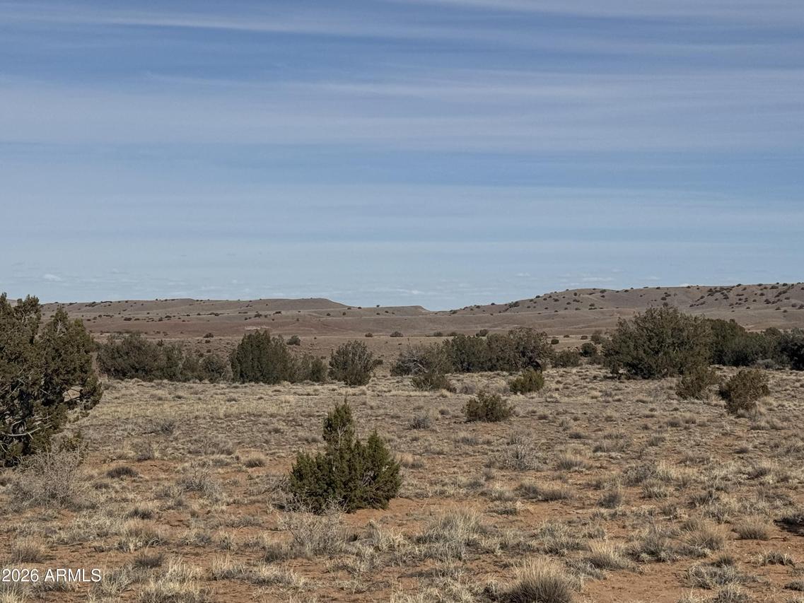 Lot D Parcel # 212-63-004-5152 #D, Concho, AZ 85924