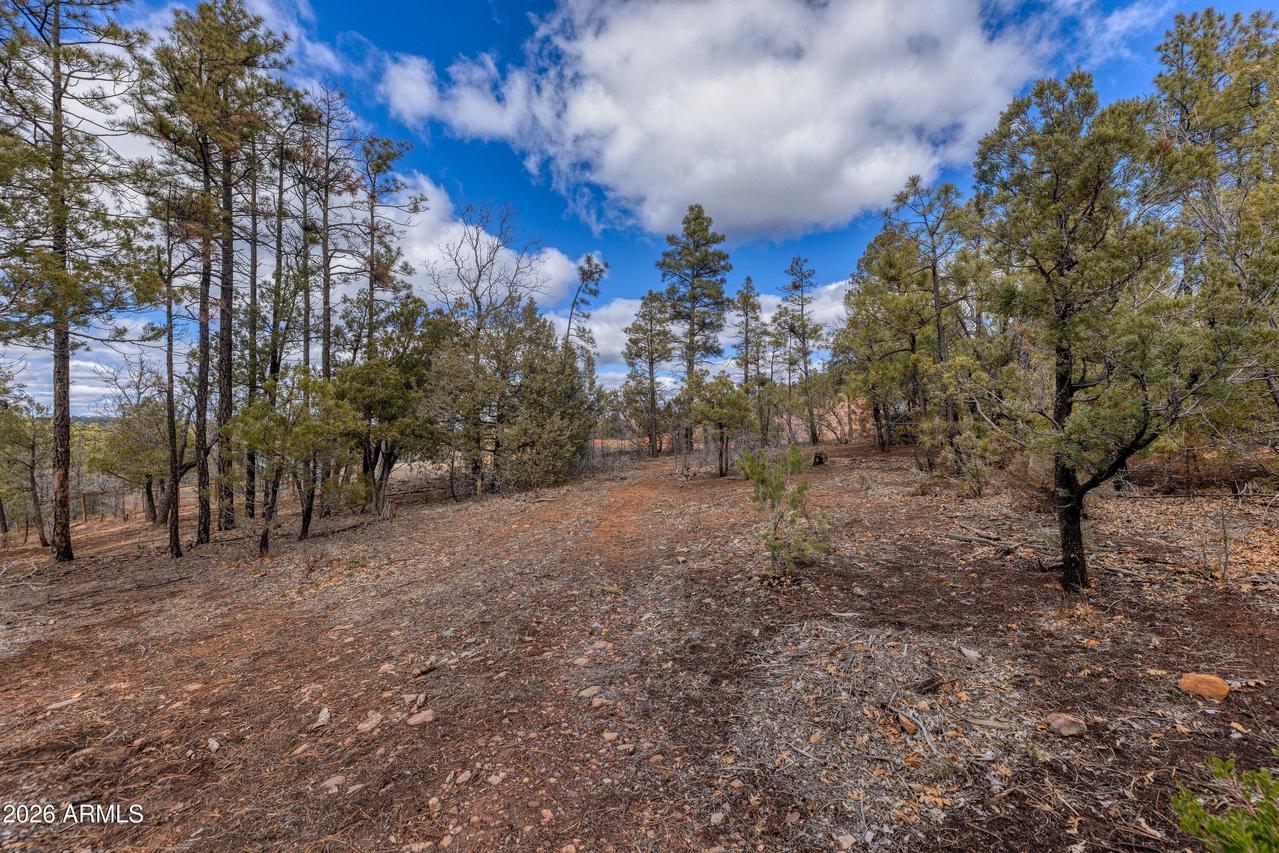 4701 S Pine Way #9, Show Low, AZ 85901