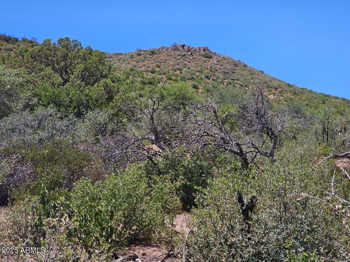 4XX S El Capitan Dr. #-, Globe, AZ 85501