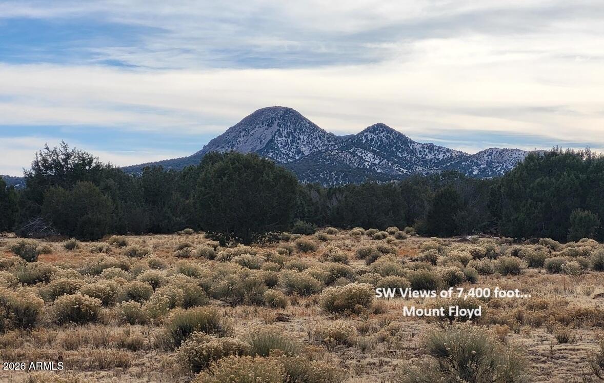 51 SW Ranch Rd. #51C, Williams, AZ 86046
