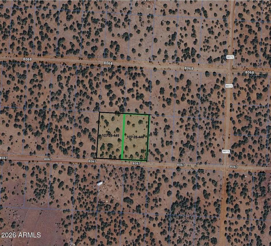33 Acr 8067 #1790 & 1791, Concho, AZ 85924