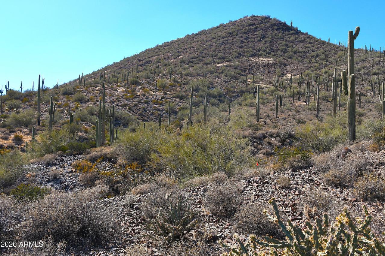 7XXX N 80th St. #'-', Cave Creek, AZ 85331