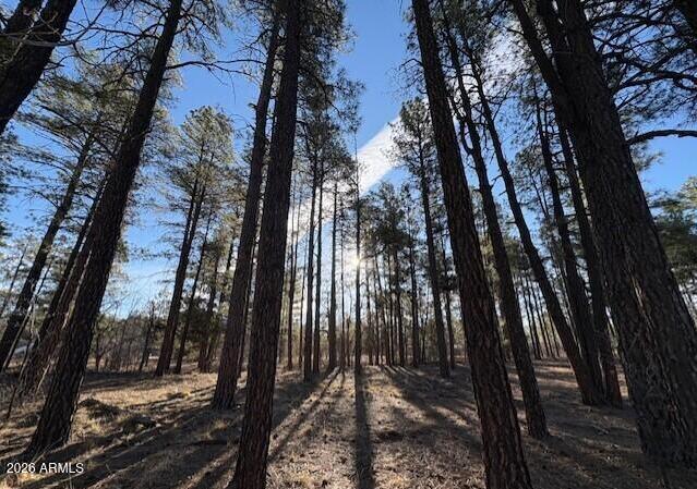 2360 Narrow Leaf Ln., Show Low, AZ 85901