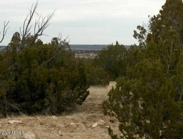 Lot 302 Chevelon Canyon Ranch #302, Heber, AZ 85928