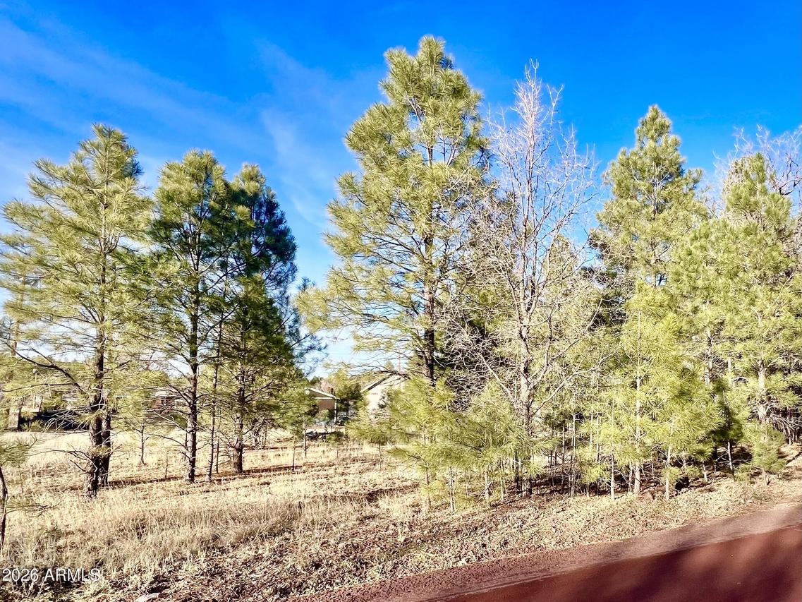 2748 Evergreen Dr. #-, Show Low, AZ 85901