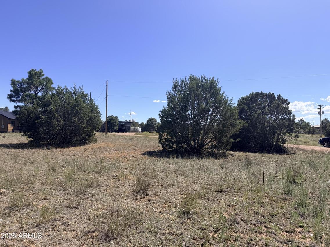 2287 Meadow Ln. #165, Overgaard, AZ 85933