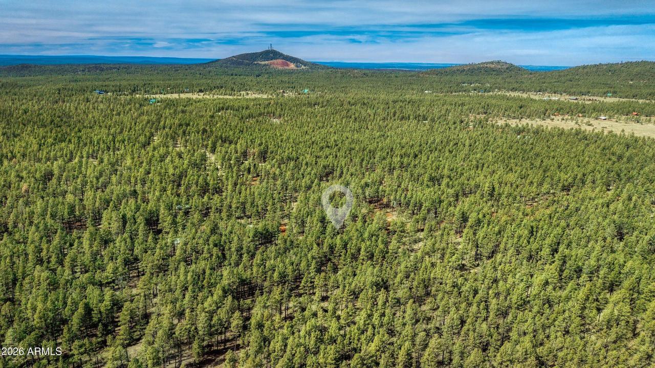 4.74 Acres Birdsong Way #-, Lakeside, AZ 85929