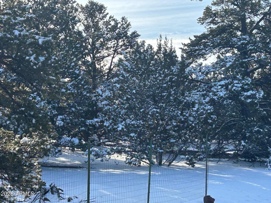 Lot 86 Ricks Rd. #86, Vernon, AZ 85940